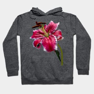 Big Petaled Pink and White Lily Hoodie